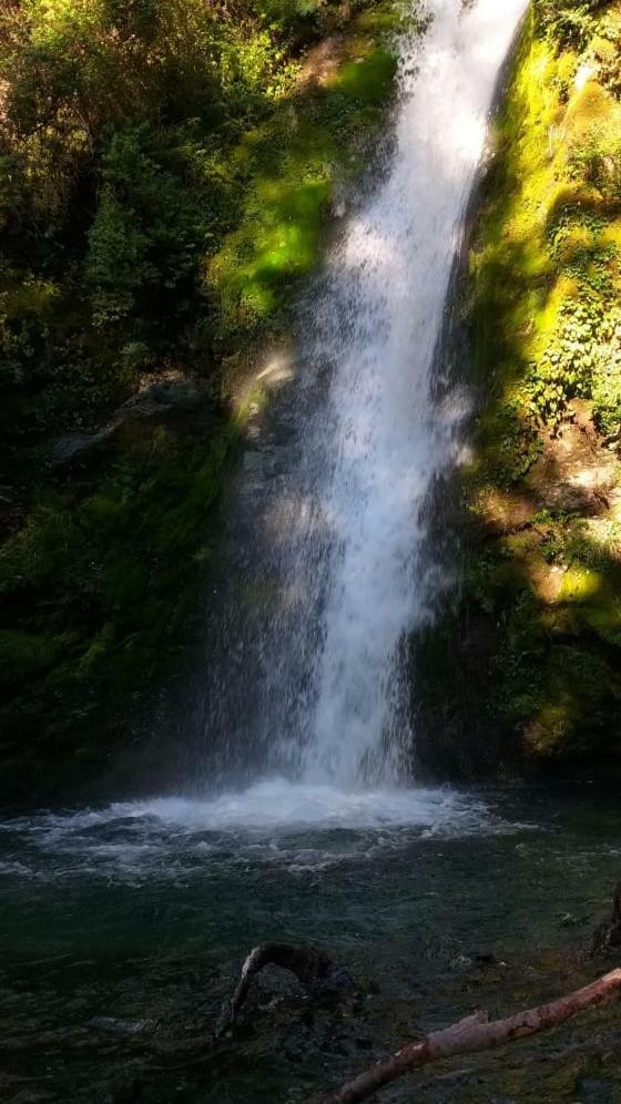 Cabanas Los Patos Lago Puelo Dış mekan fotoğraf